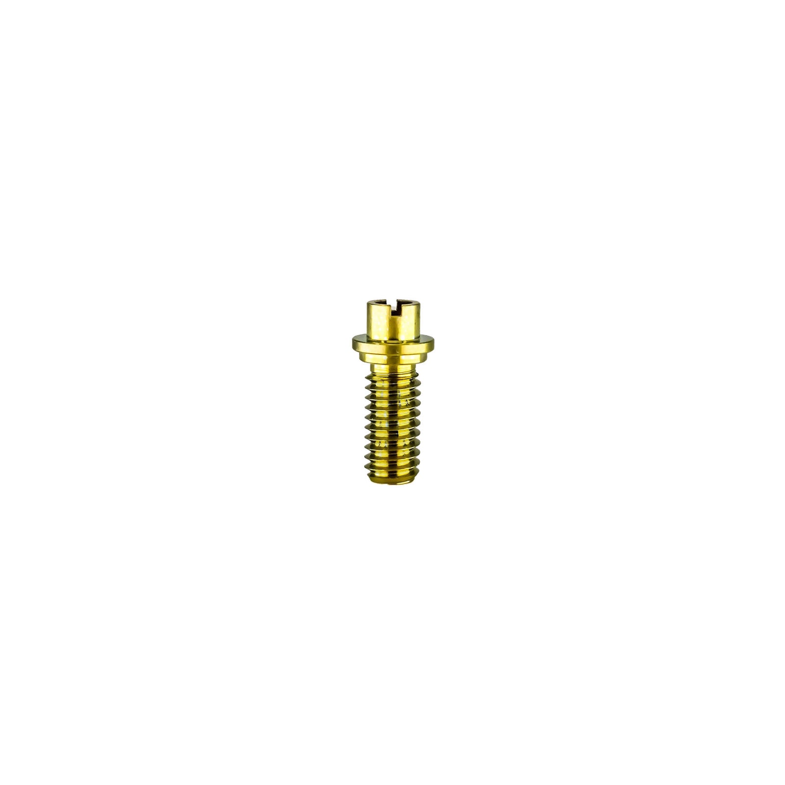 Titanium Dish Fastener Screw (Short) | Upright View | Anodized Purple-Blue | the dabbing specialists