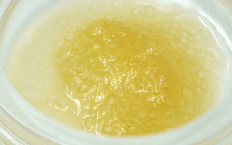 Sauce Jar of Cannabis Concentrate Image